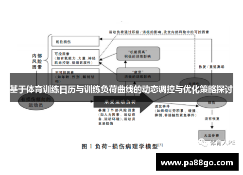 基于体育训练日历与训练负荷曲线的动态调控与优化策略探讨